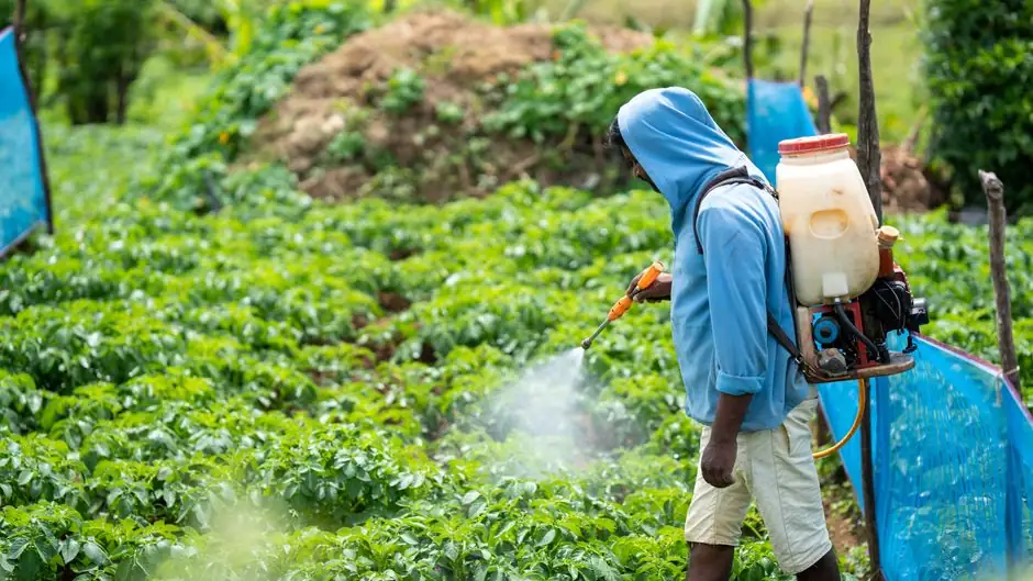 Benefits of Professional Ant Control